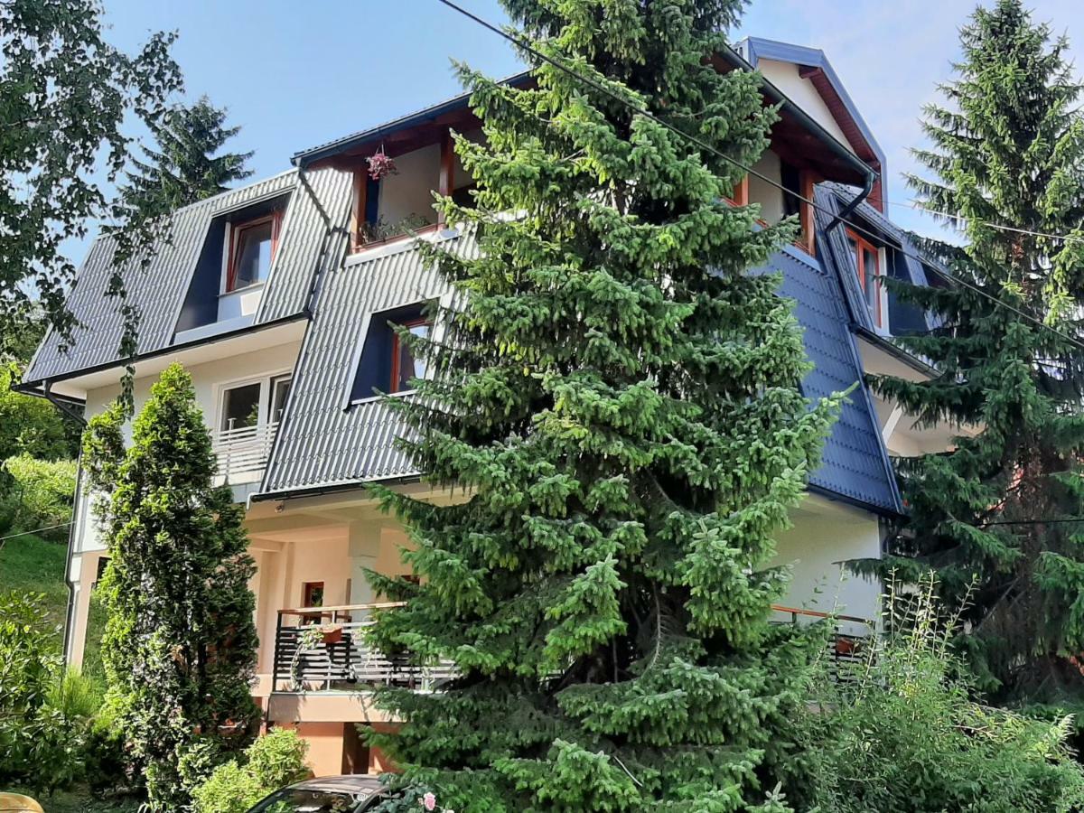 סראייבו Guesthouse Hill מראה חיצוני תמונה