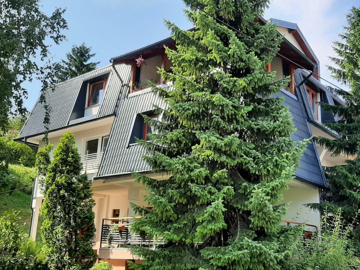 סראייבו Guesthouse Hill מראה חיצוני תמונה