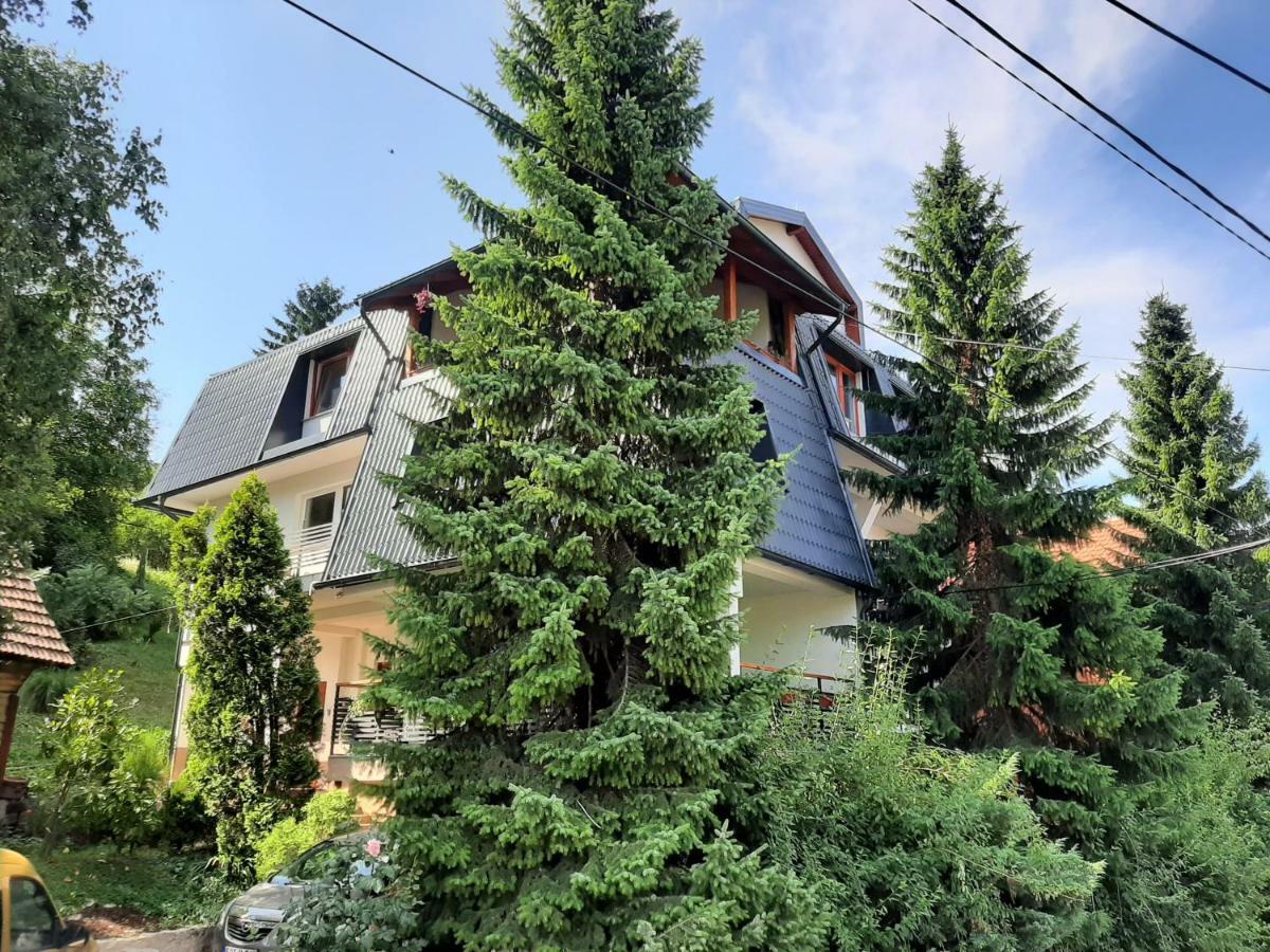 סראייבו Guesthouse Hill מראה חיצוני תמונה
